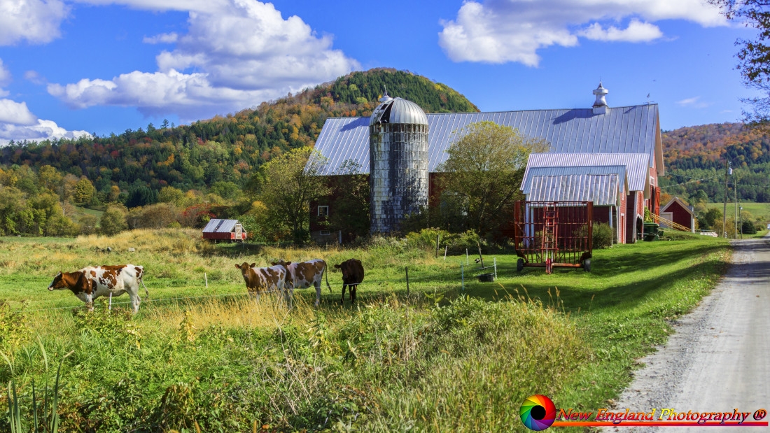 Tunbridge-Vermont-Covered-Bridges-9-26-2025-42