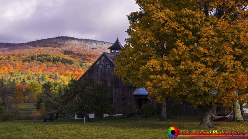Vermont Foliage A55 10-17-2015-90