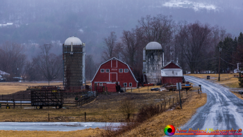Arlington-Vermot-3-22-2019-25
