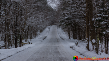 Berlin-Vermont-11-21-2018-18