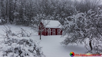 Berlin-Vermont-Horse-Barn-1-16-2021-5