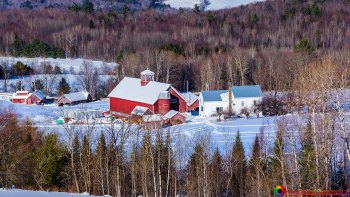 Bogie-Mountain-Farm-Rugate-Vermont-2-22-2025-9