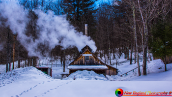 Bourdon-Maple-Farm-Woodstock-Vermont-3-23-2019-29