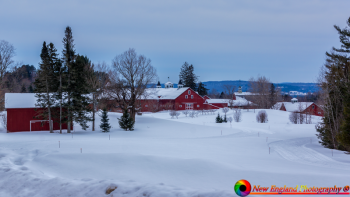 Burke-Vermont-2-20-2019-14-Edit