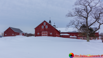 Burke-Vermont-2-20-2019-9
