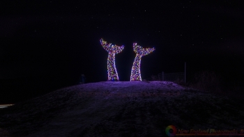 Burlington Whale Tails 12-24-2016-127-NEP