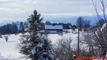 East-Montpelier-Vermont-Templeton-Farm-2-22-2026-44