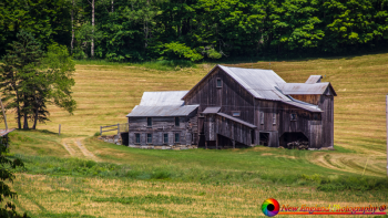 East-Peacham-Vermont-6-20-2020-5