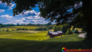 Foster-Covered-Bridge-6-22-2016-123