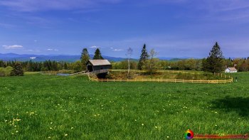 Foster-Covered-Bridge-Cabot-Vermont-5-19-2023-5-Edit-Edit