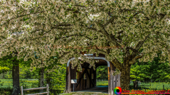 Grafton-Vermont-5-20-20-17-142