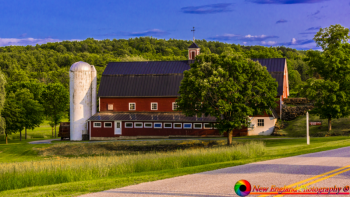 Greenrange-Farm-Sudbury-Vermont-6-22-2019-47-Edit