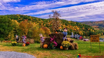 Hillside-Acres-Farm-Barnet-Vermont-October-4-2022-4