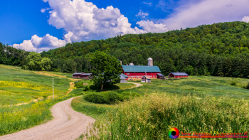 Hillside-Acres-Farm-West-Barnet-Vermont-6-21-2020-5-Edit