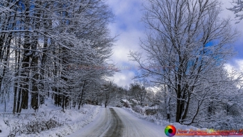 MISC Vermont 12-12-2014-2 NEP