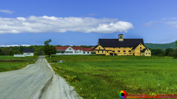 Montpelier Farms -124