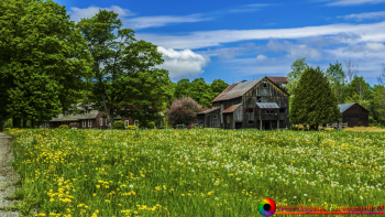 Montpelier Farms -148