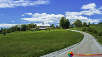 Montpelier Farms 6-27-2017-151