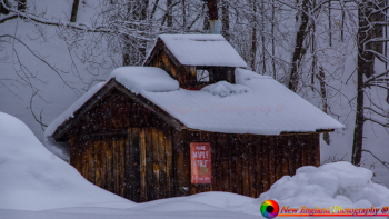 Montpelier-Sugarshack-3-16-2018-8-NEP