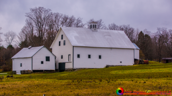 Montpelier-Vermont-11-9-2018-11