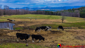 Montpelier-Vermont-4-18-2020-3