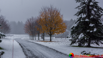 Montpelier-Vermont-Snow-11-10-2018-9