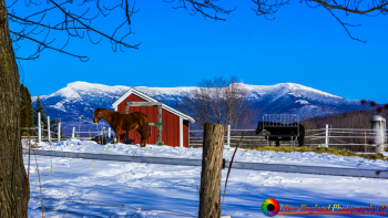 Mount-Mansfield-Vermont-2-22-2020-19
