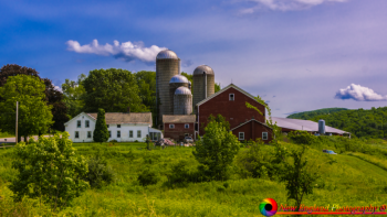 Pawlet-Vermont-6-22-2019-8