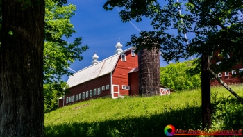 Pomfret-Flats-Farm-6-8-2026-12-Edit