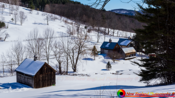 Sleepy-Hollow-Farm-3-16-2017-110-NEP