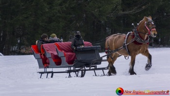 Stowe-Vermont-1-15-2021-20