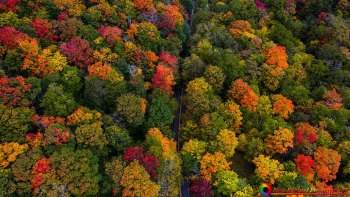 Stowe-Vermont-10-1-2021-56
