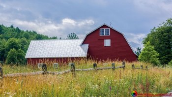 Sugar-Moon-Hill-Farm-Woodstock-Vermont-7-5-2024-2-Edit