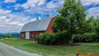 Sugar-Moon-Hill-Farm-Woodstock-Vermont-7-5-2024-6-Edit