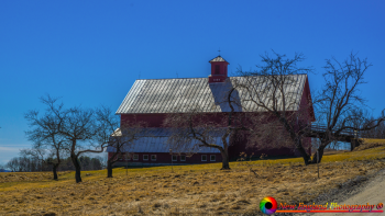 Vermont-Farms-3-20-2016-14-Edit-Edit