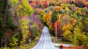 Vermont-Foliage-10-3-2019-5-Edit