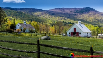 Warren-Vermont-5-17-2026-2-Edit