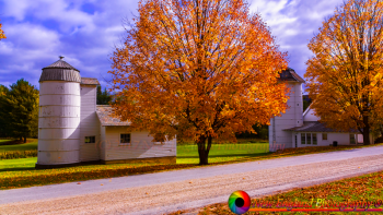 Whimsy-Farm-Arlington-Vermont-10-14-2017-28-2
