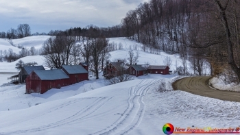 tn_Jenne Farm 1-26-2017-103-NEP