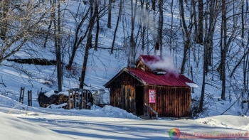 tn_Montpelier Sugarshack 3-19-2017-11-NEP