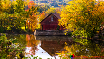 tn_Stowe Vermont 10-4-2016-61-NEP