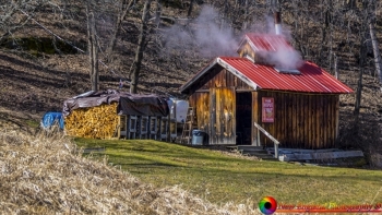 tn_Vermont Sugarhouse 3-4-2017-16 NEP