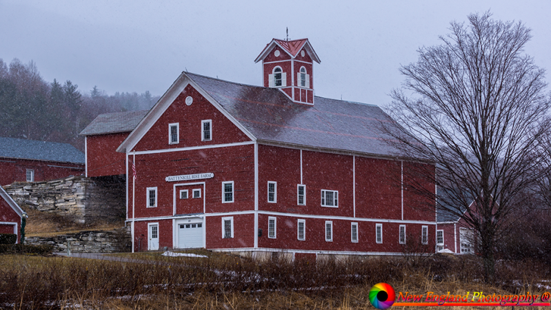 Arlington-Vermot-3-22-2019-35