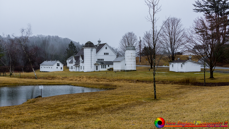 Arlington-Vermot-3-22-2019-6