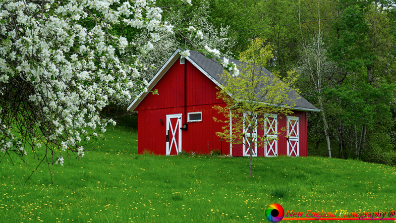 Berlin-Barn-5-19-2017-116