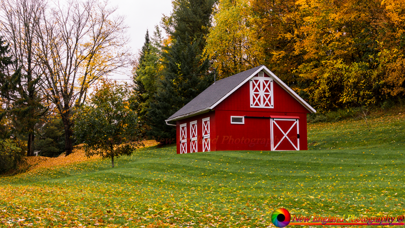 Berlin-Horse-Barn-10-11-2018-14