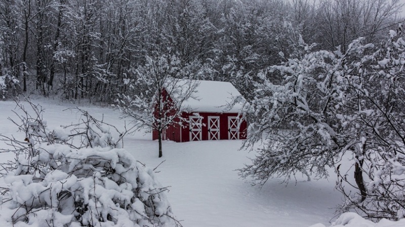 Berlin-Vermont-Horse-Barn-1-16-2021-5