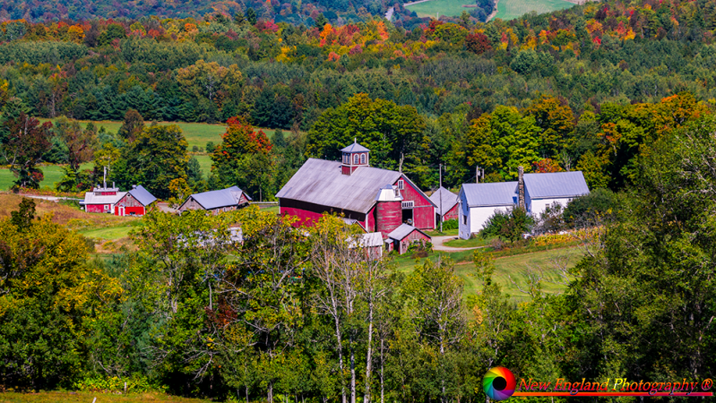 Bogie-Mountain-Farm-Barnet-Vermont-9-18-2020-15