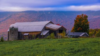 Bragg-Farm-Fayston-Vermont-10-9-2021-29