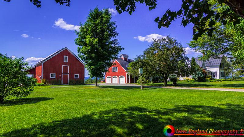 Burke-Vermont-8-3-2019-10